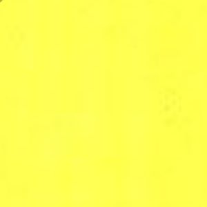 Meet your Posher, Alisha